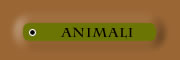 animali
